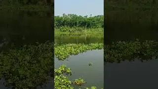 #dance