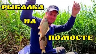 Рыбалка на помосте