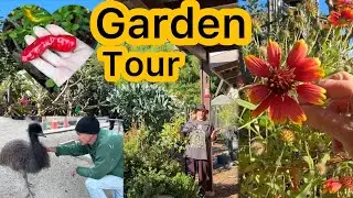 Fall Garden Tour Growing Vegetables in MANY Methods* Gardening Using Nature & Organic Tomatoes Kale