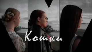 Кошки - Сейчас начнется...