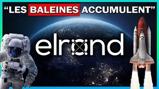 🚀ELROND - L'adoption Massive de la Blockchain en cours?  (EGLD)