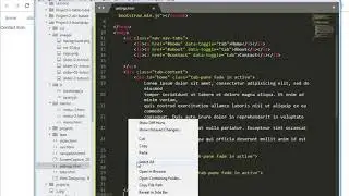 Web Designing  Bootstrap dynamic tabs for admin settings and pages