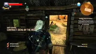 Contract: Devil by the Well - New Game Plus Walkthrough (The Witcher 3)