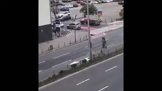 В польский город Гдыня прибыла важная делегация. Не хватает хряка в зелёной футболке.