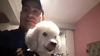 teooo