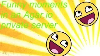 Funny moments in an agar.io private server