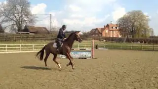 Ginge Jumping 3