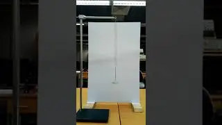 Wilberforce Pendulum - C