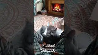 My own personal foot warmers.