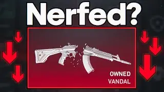 Has the Vandal Been Accidentally Nerfed?