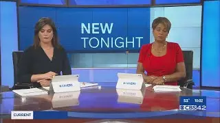 Travel agents weigh in on U.S. International travel advisory