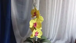 Орхидея из изолона на пять лампочек. Часть 2 электрика