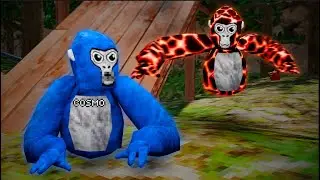 Gorilla Tag But When I Get Tagged I Have To...