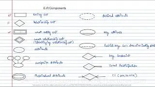 Database Management System 12 Basic Components in ER Diagram