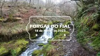 FORGAS DO FIAL