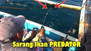 Ampun,,!!Tarikan Ikan Misterius ini,,Bikin Reel pancing Sampek Bunyi Krik Krik
