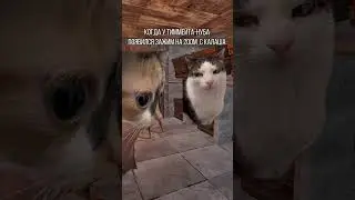 ТИММЕЙТ НУБ ЗАЖАЛ С КАЛАША МЕМ  #rust