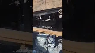 #пошукзагиблих