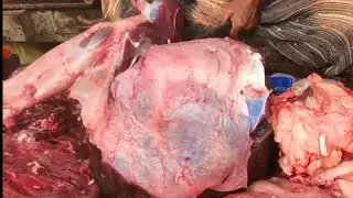 amazing meat beef cutting skills / best beef cutting market