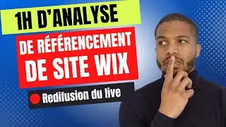 1h de conseil et d'analyse de référencement de site Wix