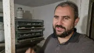 куда делись поросята?