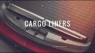 See Why You Need A WeatherTech Cargo Liner