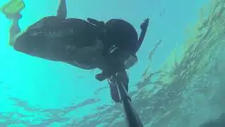 #Dreams Vacation +о Тиран 2023-10  Рыбки,черепахи, скаты, девушки