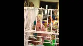 GiGi rubber-necking over her new digs