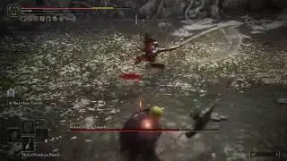 Elden Ring: Finally Fighting Rot Mommy