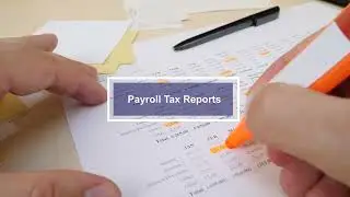 Types of Payroll Reports