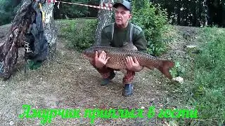 РЫБАЛКА В ТУЛЬСКОЙ ОБЛ.