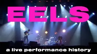 25 YEARS OF EELS LIVE IN 8 MINUTES