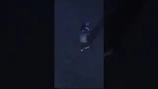 Breakdancing criminal. After high speed chase he breaks out in dance in the middle of the highway!!
