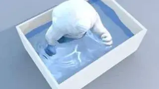 Fluid simulation: Dance in a Tank
