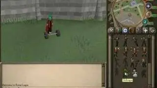 Combat Skill Capes