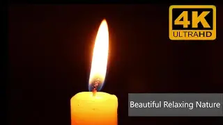 30 MINUTES of Relaxing Burning Candle Sounds - Burning Candle & Melting Wax Sounds