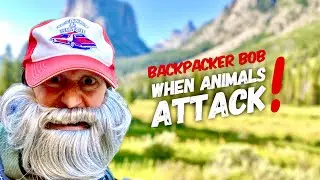 WHEN ANIMALS ATTACK BACKPACKER BOB 🐸 #comedy #comedyvideo