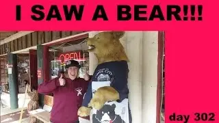 I SAW A BEAR!!! day 302 (9/4/2015)