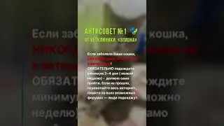 Антисовет 1 от ветклиники "Эпиона"