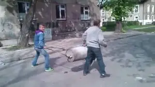 Оружие массового поражения прикол