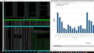 Some bioinformatics in timelapse