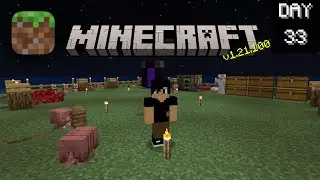 Main Minecraft Survival | Episode 33 : Sortir Item!