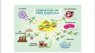 Free Radical Formation / Mnemonic to remember how Free radicals are formed in the body