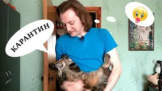VLOG: КАРАНТИНИМ, КАК МОЖЕМ