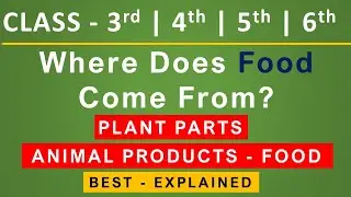 Plant Parts and Animal Products As Food | Where does food come from | Class 3,4,5,6
