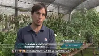 Techos verdes ante el cambio climático