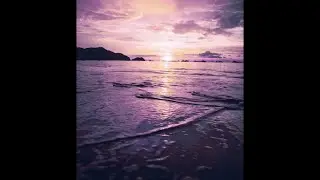 [FREE] Playboi Carti x Pierre Bourne Type Beat 