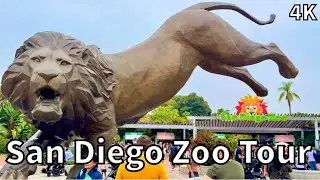 San Diego Zoo Tour - San Diego, California - USA [4K]