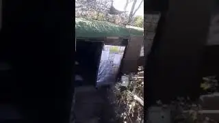 Снегири и младенцы. Завтрак 