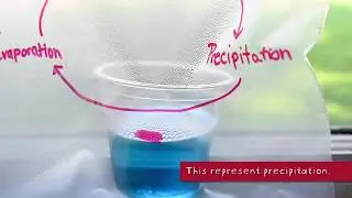 The Fuddlebrook Water Cycle Demonstration: Water Science for Kids
